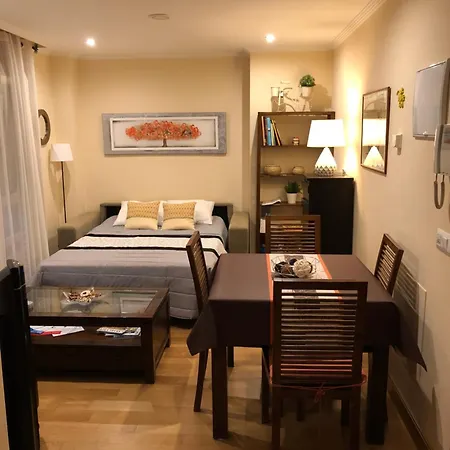 Apartment Centrica De Lujo Parking Incluido